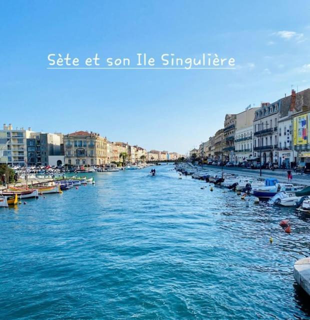 Apartment Intemporelle *
